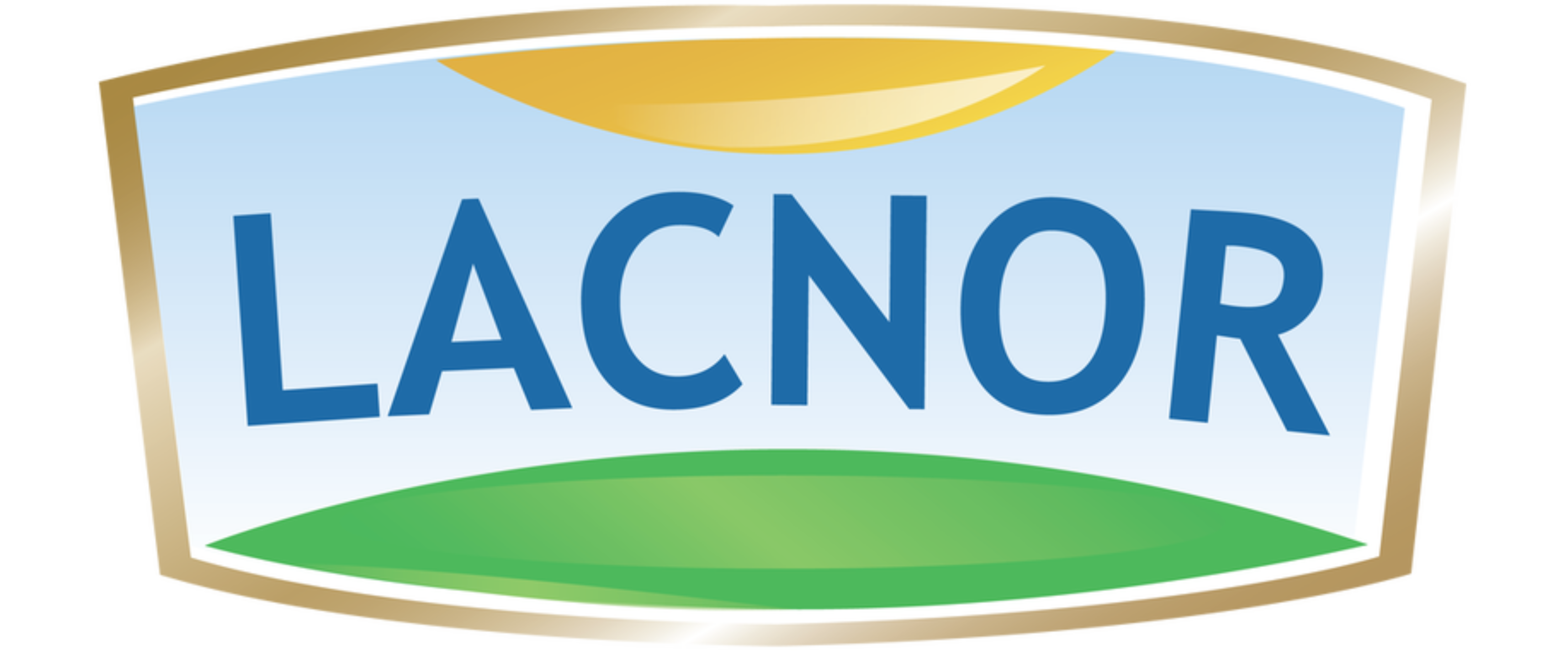 Davinci_Gourmet_logo (6)